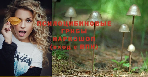синтетический гашиш Дмитровск