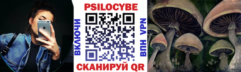 Псилоцибиновые грибы Cubensis Добрянка