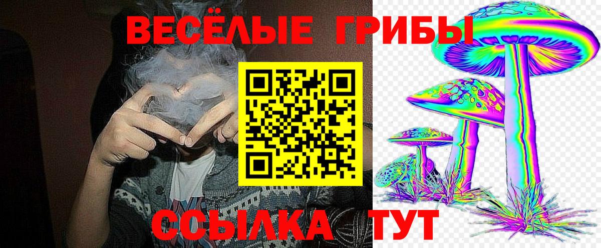 Галлюциногенные грибы GOLDEN TEACHER Добрянка